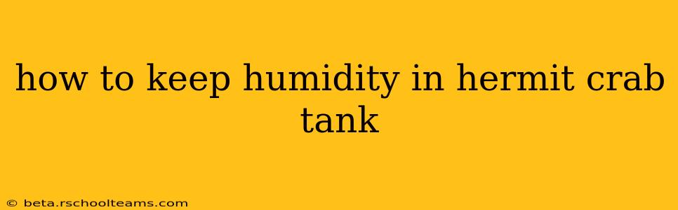 how to keep humidity in hermit crab tank