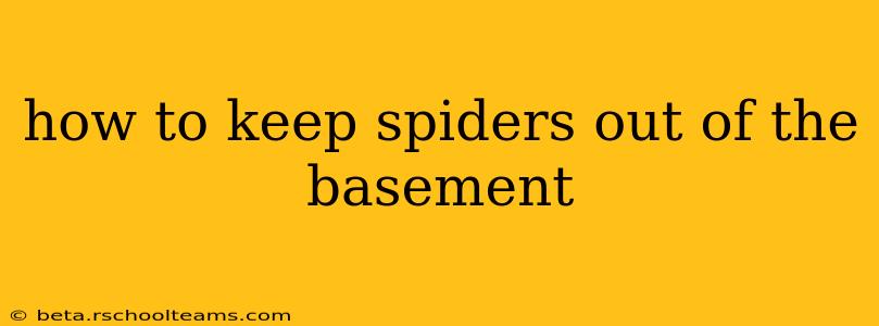 how to keep spiders out of the basement