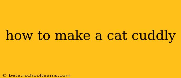 how to make a cat cuddly