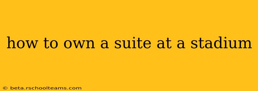 how to own a suite at a stadium
