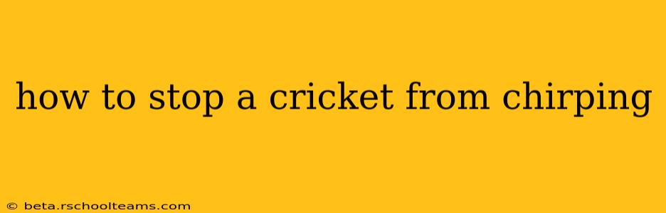 how to stop a cricket from chirping