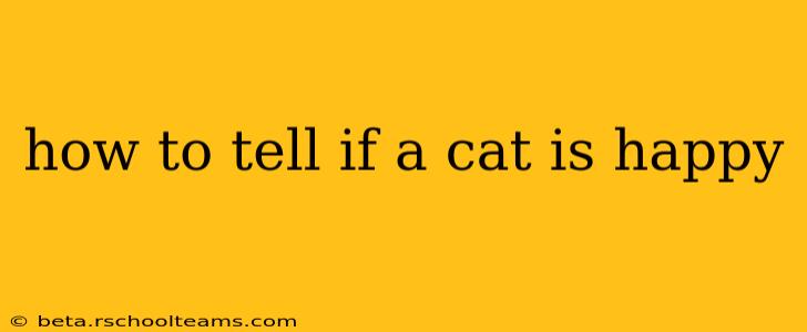 how to tell if a cat is happy