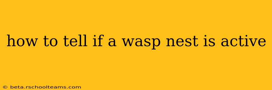 how to tell if a wasp nest is active
