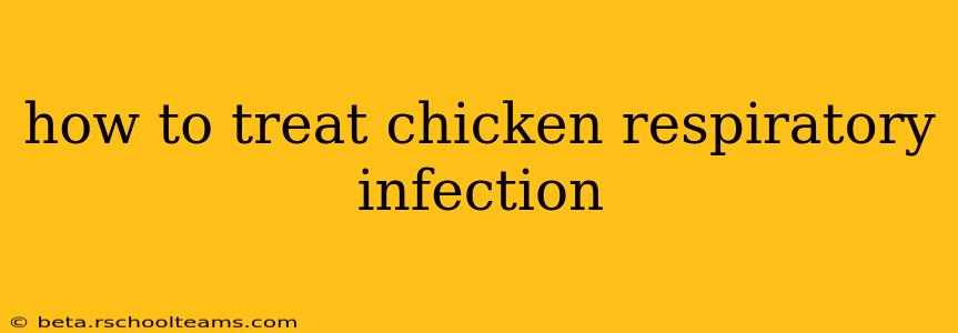 how to treat chicken respiratory infection