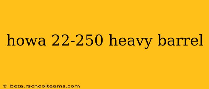 howa 22-250 heavy barrel