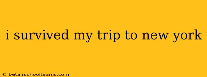 i survived my trip to new york