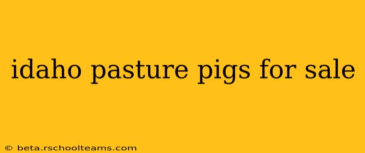 idaho pasture pigs for sale