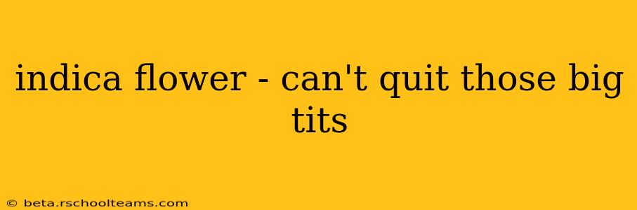 indica flower - can't quit those big tits indica flower - can't quit those big tits