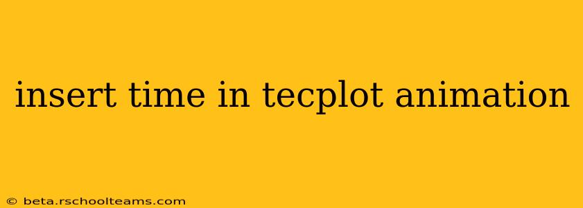 insert time in tecplot animation