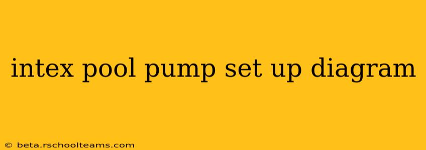intex pool pump set up diagram