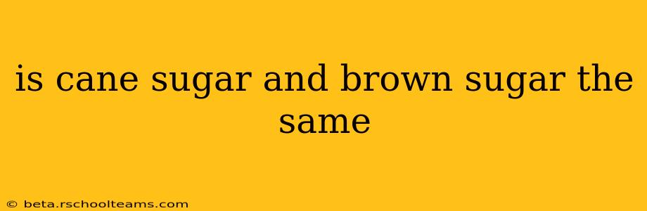 is cane sugar and brown sugar the same