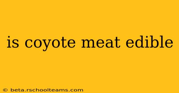 is coyote meat edible