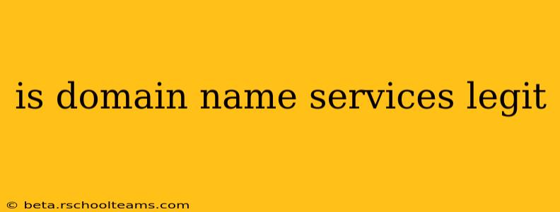 is domain name services legit