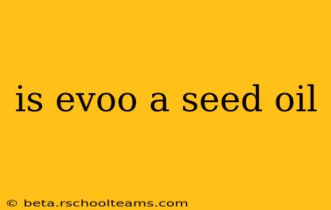 is evoo a seed oil