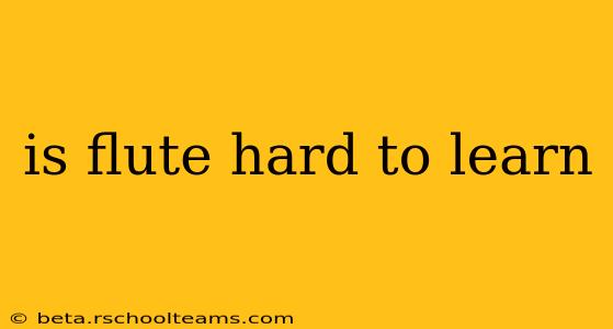 is flute hard to learn