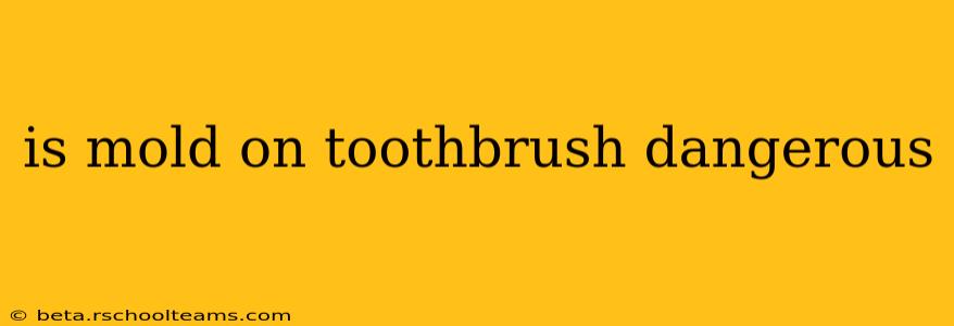 is mold on toothbrush dangerous
