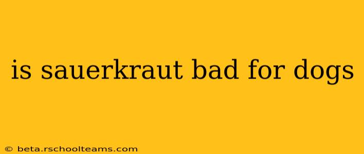 is sauerkraut bad for dogs
