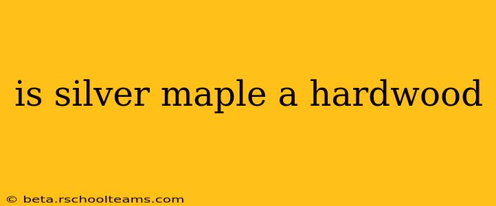 is silver maple a hardwood