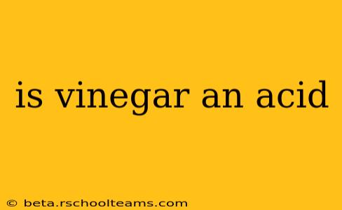 is vinegar an acid