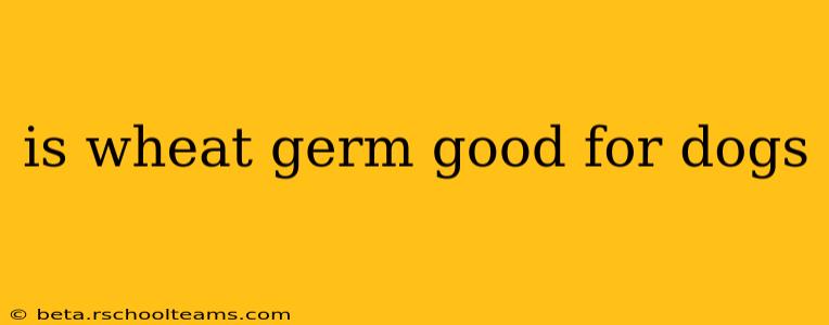 is wheat germ good for dogs