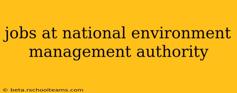 jobs at national environment management authority