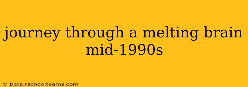 journey through a melting brain mid-1990s