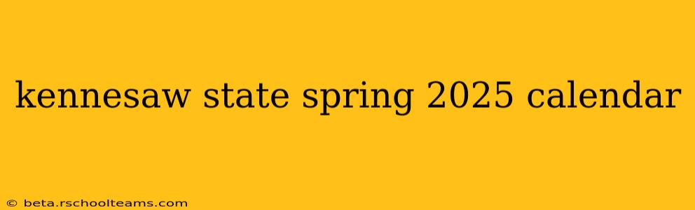 kennesaw state spring 2025 calendar