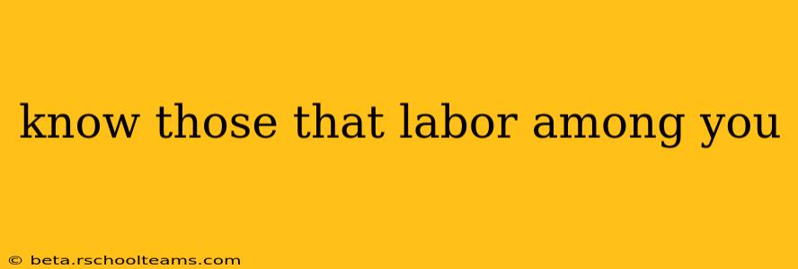 know those that labor among you