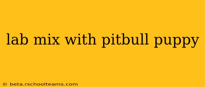 lab mix with pitbull puppy