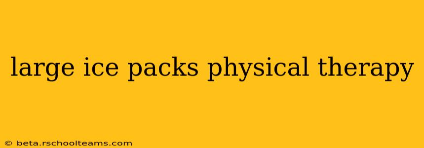 large ice packs physical therapy