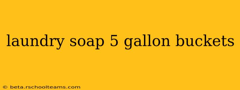 laundry soap 5 gallon buckets