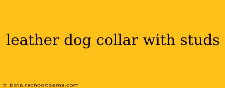 leather dog collar with studs