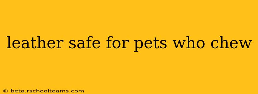 leather safe for pets who chew