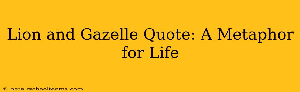 Lion and Gazelle Quote: A Metaphor for Life