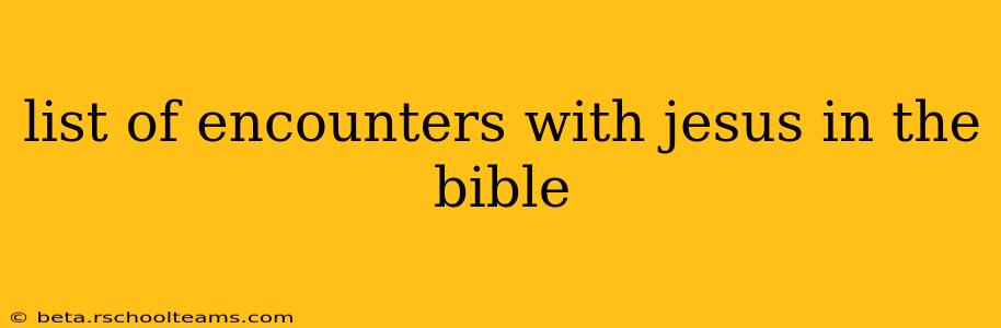list of encounters with jesus in the bible