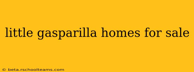 little gasparilla homes for sale