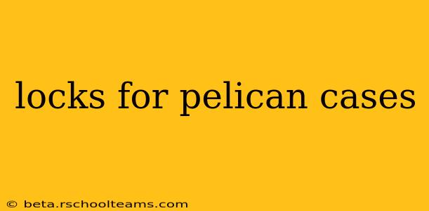 locks for pelican cases