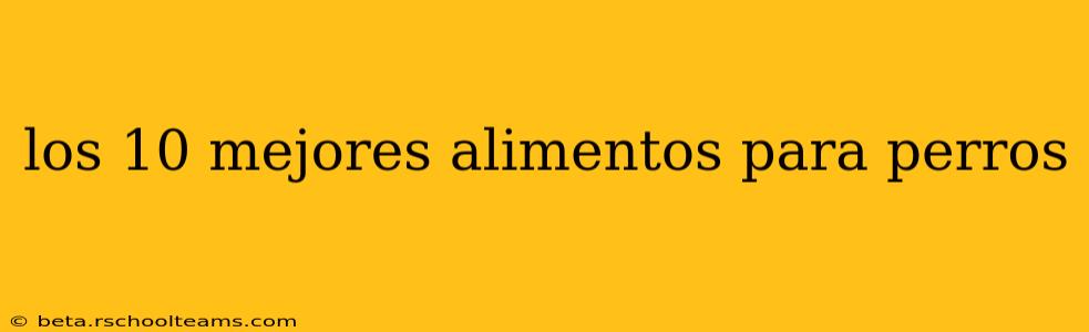 los 10 mejores alimentos para perros