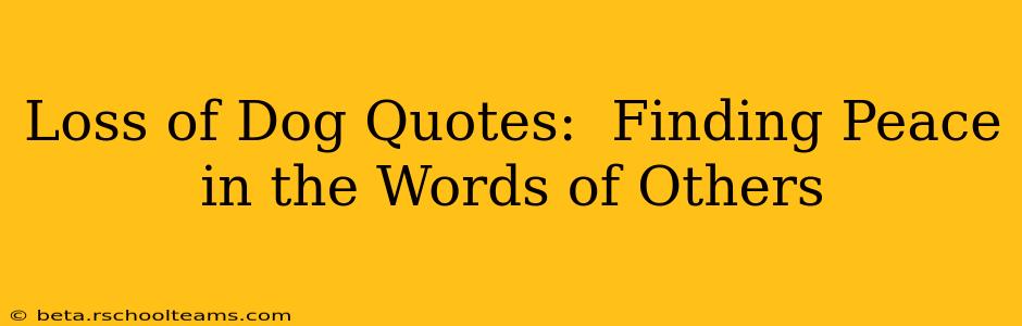 Loss of Dog Quotes:  Finding Peace in the Words of Others