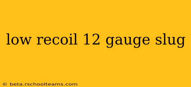 low recoil 12 gauge slug