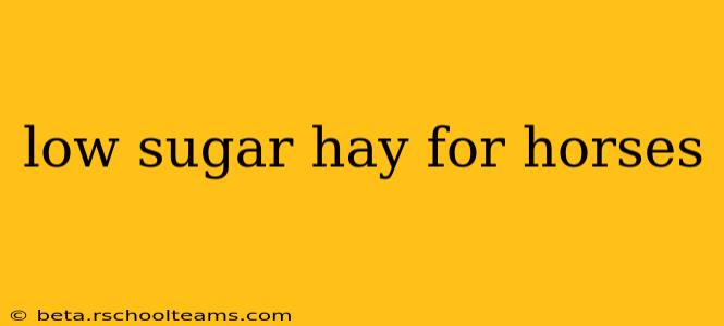 low sugar hay for horses