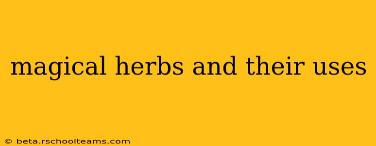 magical herbs and their uses
