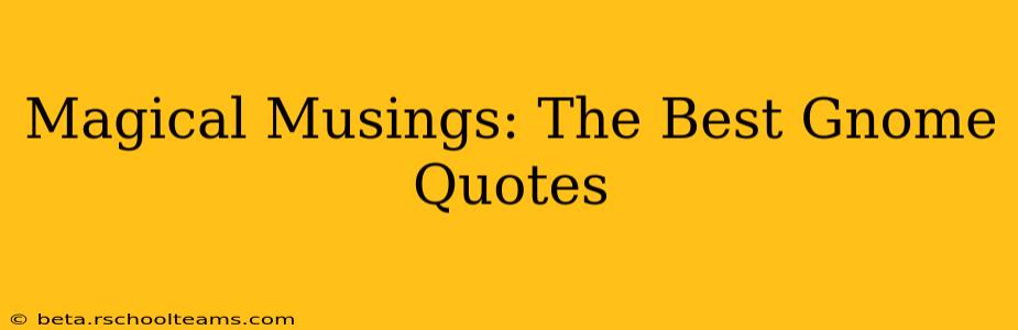 Magical Musings: The Best Gnome Quotes