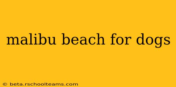 malibu beach for dogs