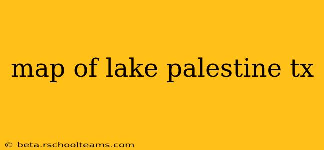 map of lake palestine tx