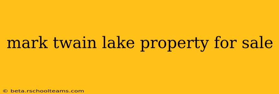 mark twain lake property for sale
