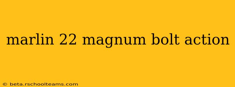 marlin 22 magnum bolt action