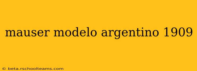 mauser modelo argentino 1909