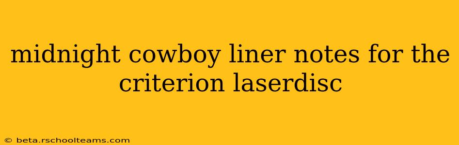 midnight cowboy liner notes for the criterion laserdisc