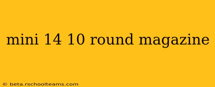 mini 14 10 round magazine